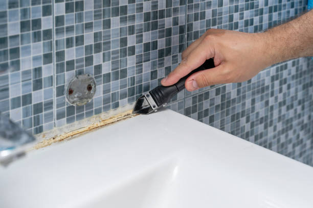 Best Home Mold Removal  in Utica, NE